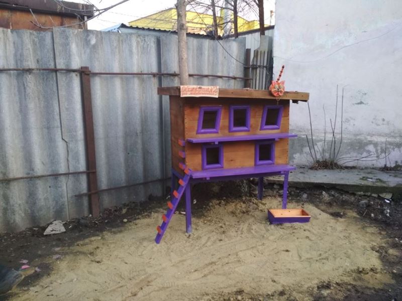 "Общежитие №2": в Арцизе появился еще один домик для бездомных кошек