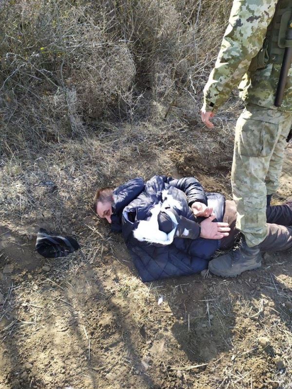 Четырехлапый помощник пограничников задержал на границе с Молдовой нарушителя. Мужчина отделался порванной курткой и запретом на въезд в Украину