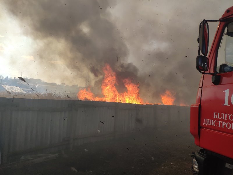 В Белгороде-Днестровском полыхали заросшие камыша, общей площадью 3 гектара: огонь подступал к жилым домам