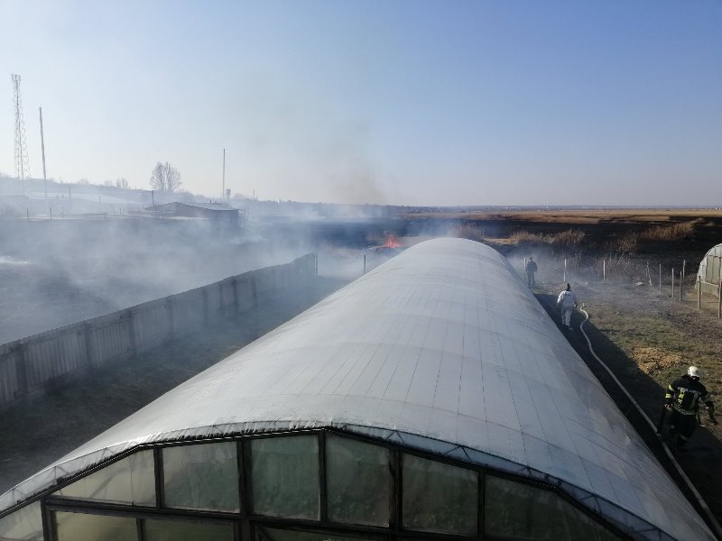 В Белгороде-Днестровском полыхали заросли камыша, общей площадью 3 гектара: огонь подступал к жилым домам