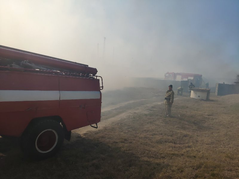 В Белгороде-Днестровском полыхали заросли камыша, общей площадью 3 гектара: огонь подступал к жилым домам