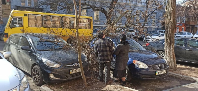 Поваленные деревья, поврежденные машины и сорванные крыши: в Одессе и области разгулялась стихия - обстановка по Бессарабии (обновляется)