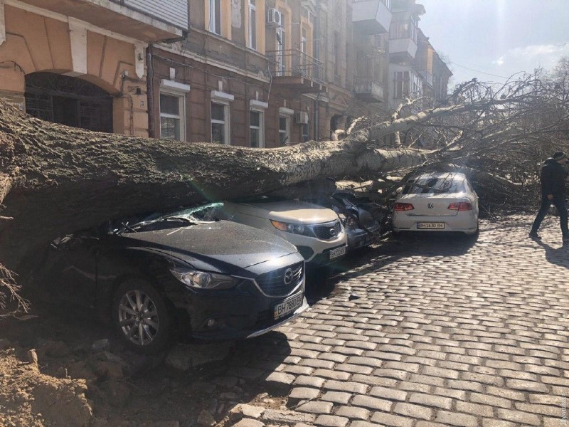 Поваленные деревья, поврежденные машины и сорванные крыши: в Одессе и области разгулялась стихия.