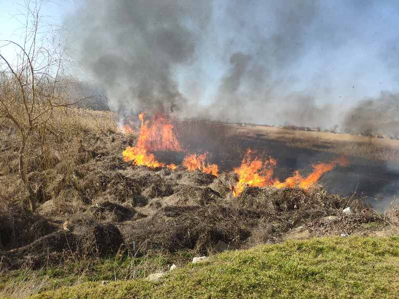 В Белгороде-Днестровском полыхали заросшие камыша, общей площадью 3 гектара: огонь подступал к жилым домам