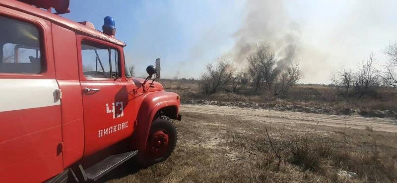 В районе Вилково выгорело 2,5 га территории Измаильского лесного хозяйства