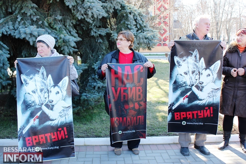 Измаильская "Грета Тунберг", собаки с табличками "Не убивай" и обвиненные в догхантерстве