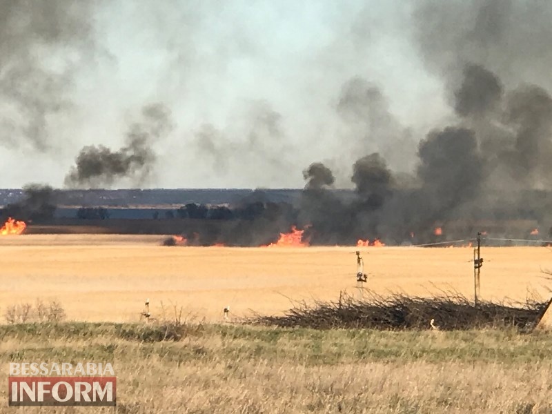 В природной экосистеме Белгород-Днестровского района выгорело 15 га камыша