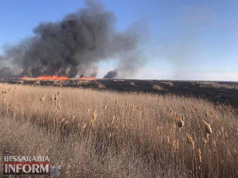 В природной экосистеме Белгород-Днестровского района выгорело 15 га камыша