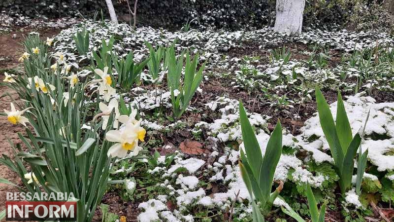 Неожиданно: в последний день марта в Бессарабии ночью выпал снег