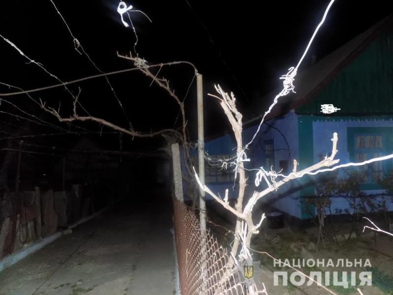 Несовершеннолетний житель Арцизского района напал на пожилую соседку с лопатой, когда пытался обокрасть ее двор