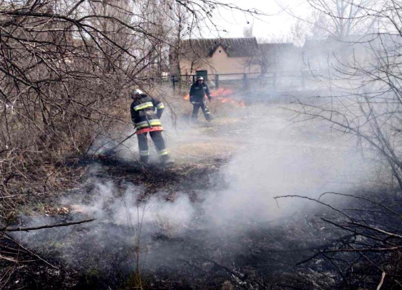 Белгород-Днестровский р-н: горящий сухостой чуть ли не стал причиной пожара на базе отдыха в Затоке