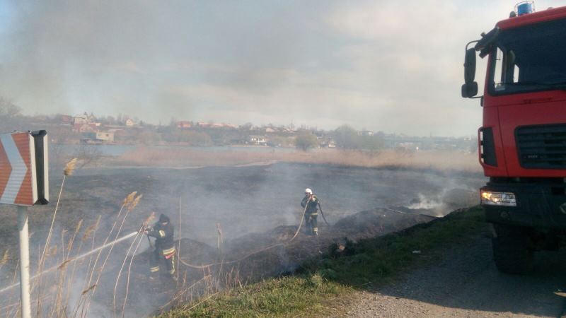 На территории Нижнеднестровского нацпарка, вдоль трассы Одесса-Рени, полыхают камыши. Пламенем охвачено более 7 га