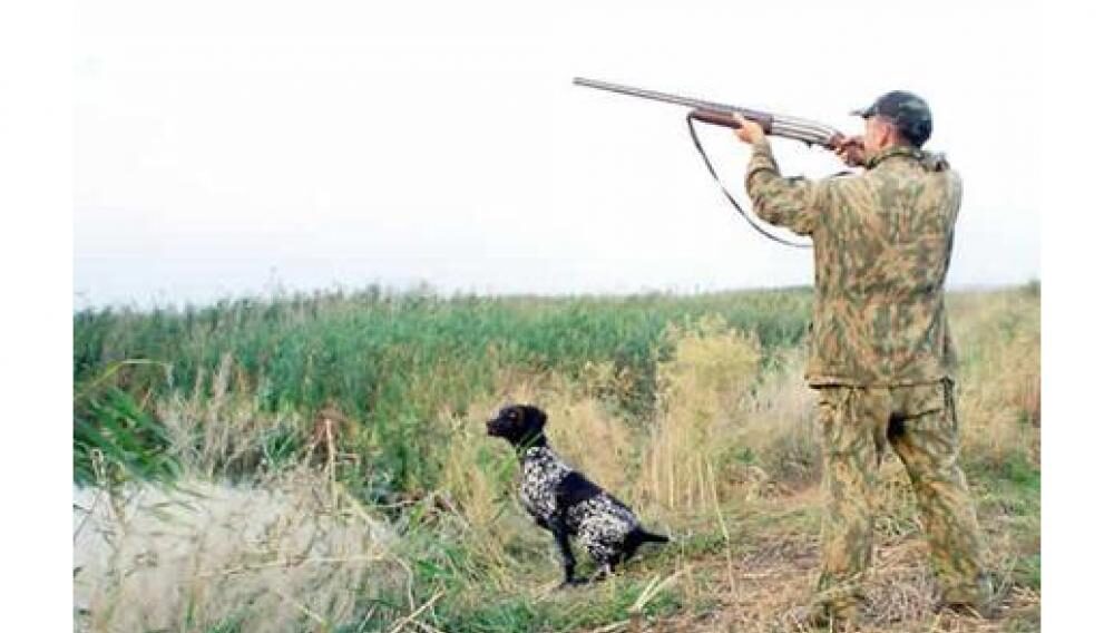 На Одещині погодили полювання через зростання чисельності хижаків: де саме