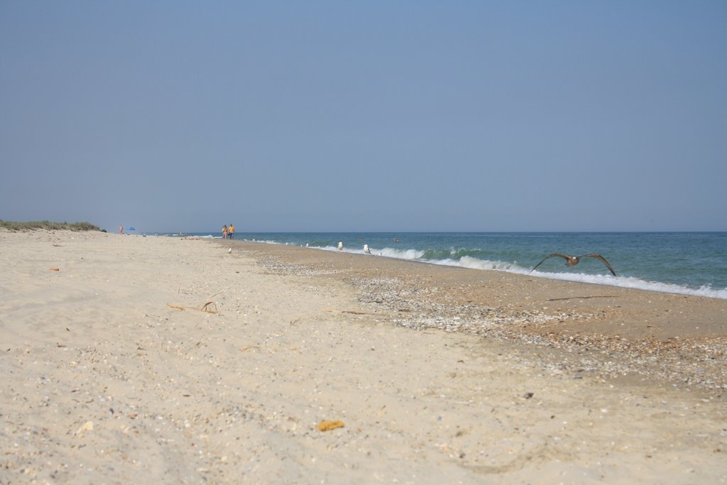 Топ-10 морских курортов Одесской области (ОБЗОР)