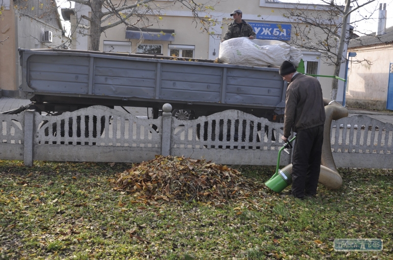 На улице Болграда для уборки листьев вывели садовый пылесос.