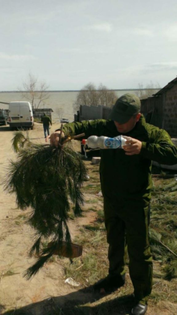 В водоемах Одесской области для нереста судака установили искусственные гнезда