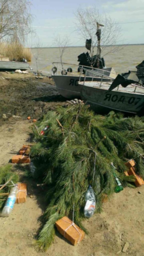 В водоемах Одесской области для нереста судака установили искусственные гнезда