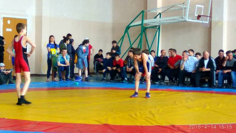 Измаильский район принял у себя Чемпионат Одесской области по вольной борьбе