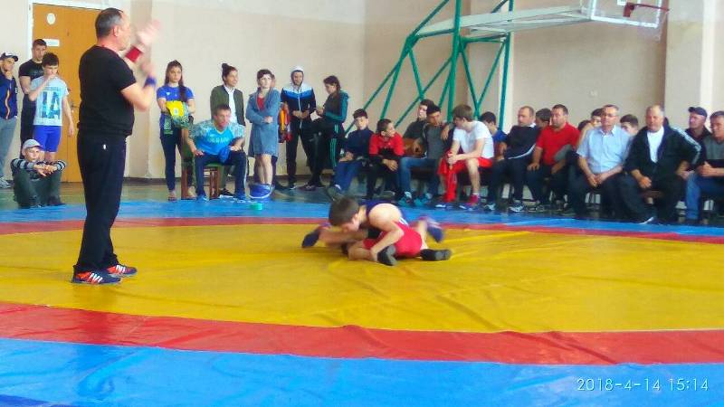 Измаильский район принял у себя Чемпионат Одесской области по вольной борьбе