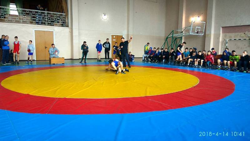 Измаильский район принял у себя Чемпионат Одесской области по вольной борьбе