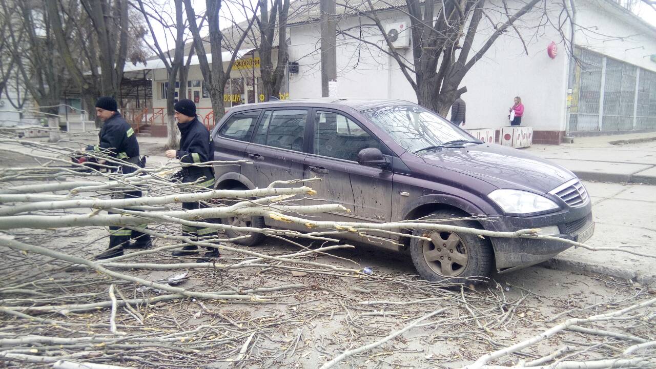 В Измаиле рухнувшее дерево перекрыло проезжую часть и едва не раздавило автомобиль