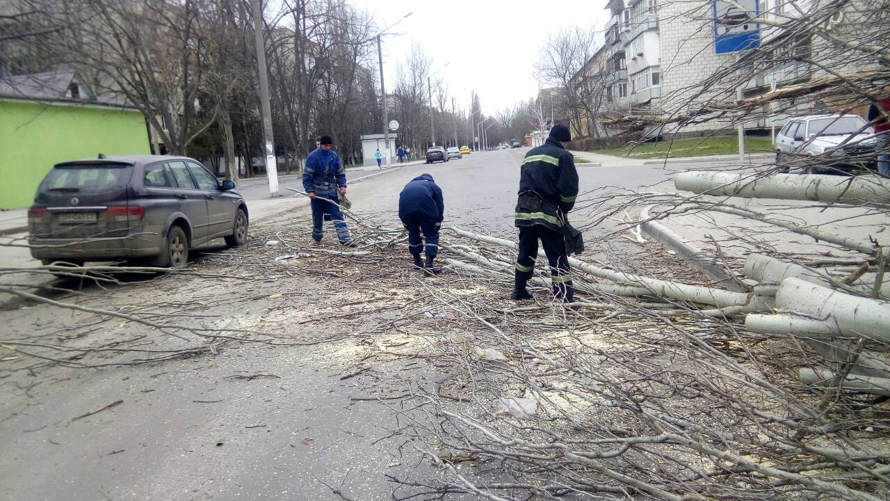 В Измаиле рухнувшее дерево перекрыло проезжую часть и едва не раздавило автомобиль