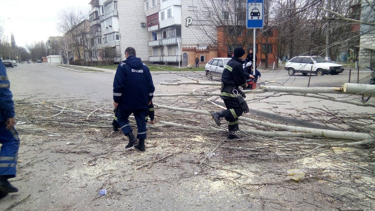 В Измаиле рухнувшее дерево перекрыло проезжую часть и едва не раздавило автомобиль