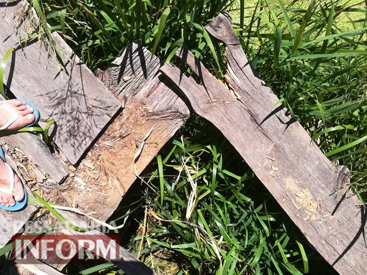 В Вилково кладки, которыми ежедневно пользуются жители одной из улиц, пришли в полную непригодность (видеофакт)