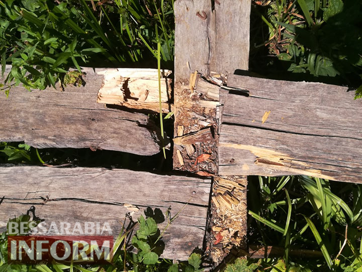 В Вилково кладки, которыми ежедневно пользуются жители одной из улиц, пришли в полную непригодность (видеофакт)
