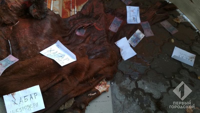 Коровья голова, шкура и копыта: в Одессе рассматривают как хулиганство "кровавую" акцию у дверей госпредприятия