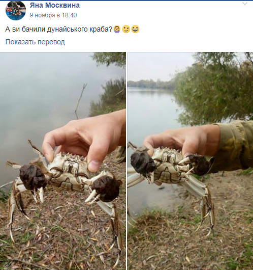 Невероятно, но факт: в Килии рыбакам-любителям попался в сети краб (фотофакт)