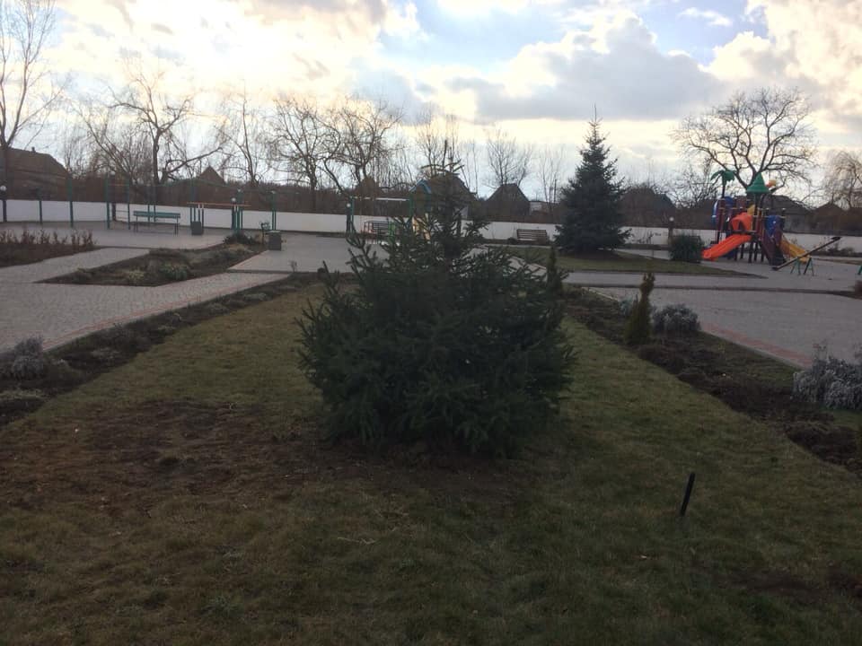 В центральном парке села Килийской ОТГ к Новому году появились три зеленые красавицы (фото)