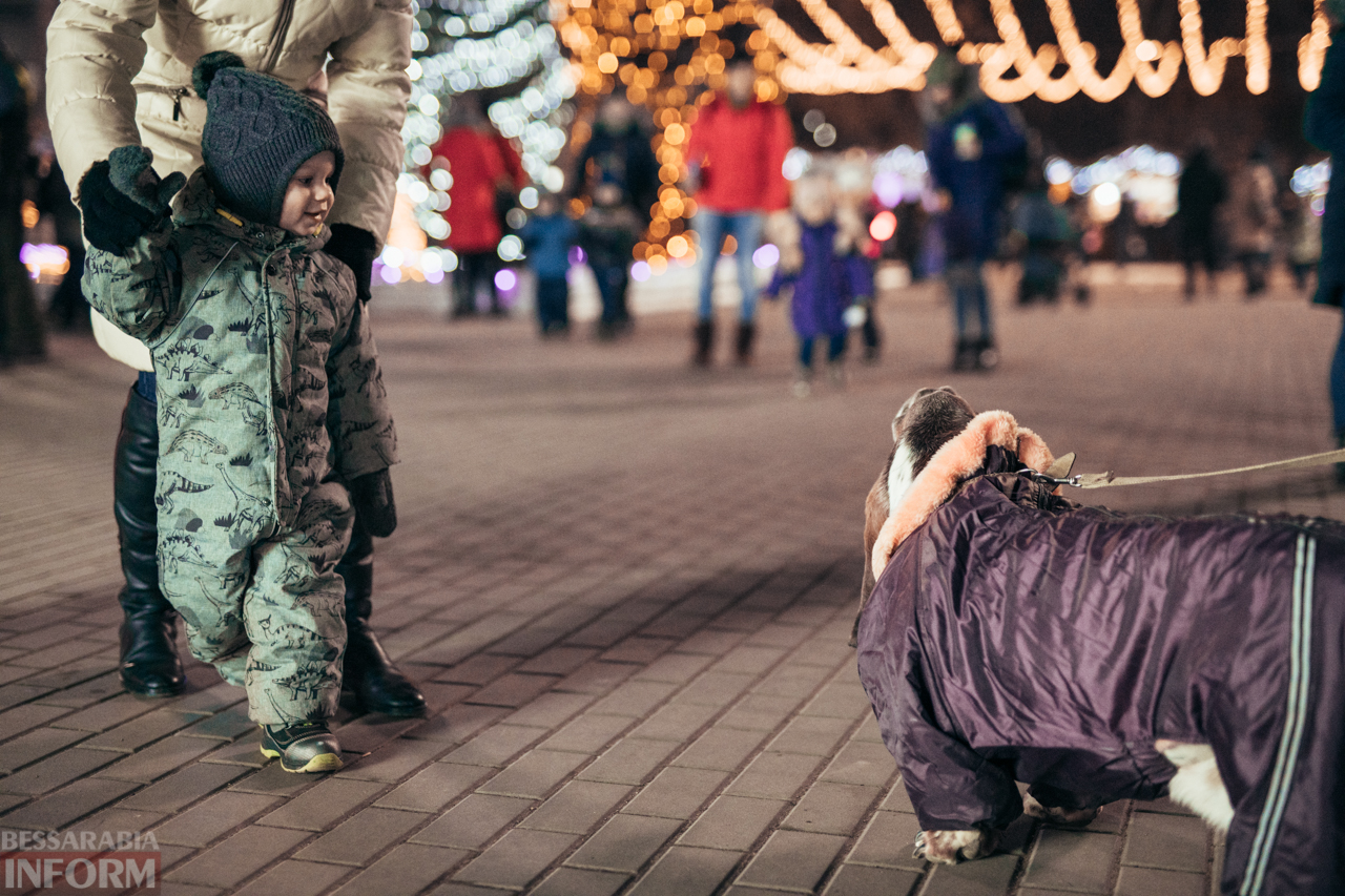 Новогодняя сказка в Измаиле: волшебные снимки ночной центральной площади
