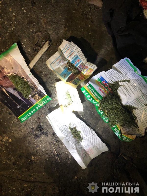Хранил дома "травку" и тротил: в Вилково полиция изъяла у мужчины наркотики и взрывчатку