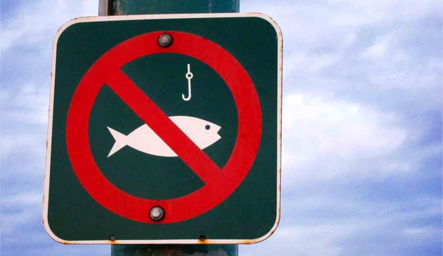запрет на рыбалку измаил