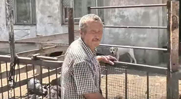 Концлагерь для собак: в Одесской области пенсионер выращивал алабаев на продажу в адских условиях