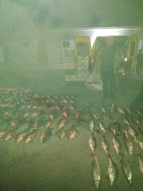 На озере Кагул в Ренийском районе браконьер незаконно наловил рыбы на сумму более 55 тысячи гривен