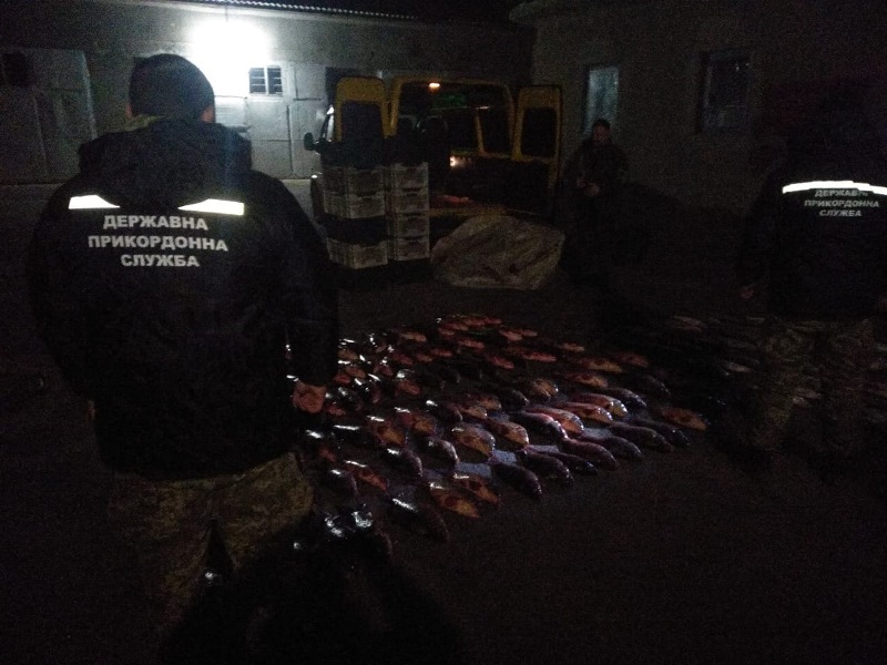На озере Кагул в Ренийском районе браконьер незаконно наловил рыбы на сумму более 55 тысячи гривен