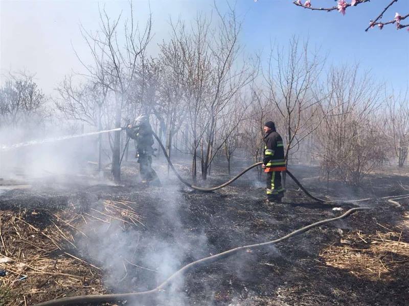 Спалила сарай и теплицу: в Белгород-Днестровском районе женщина, сжигая мусор, устроила масштабный пожар