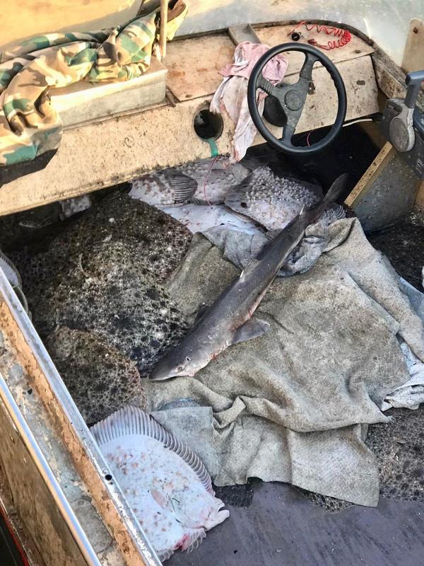 В Татарбунарском районе "рыбаки-ученые" наловили на 400 тысяч гривен черноморского калкана для "научных" целей