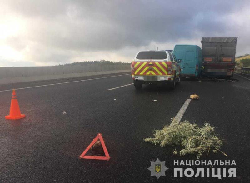 Авария на трассе Одесса: микроавтобус с пассажирами "впечатался" в припаркованную на обочине фуру, есть жертвы