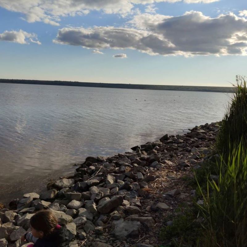 Засуха отразилась и на самом большом озере Украины - Ялпуг заметно обмелел