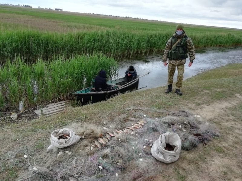 В Дунайском биосферном заповеднике пограничники задержали браконьеров с уловом на 21 тысячу гривен