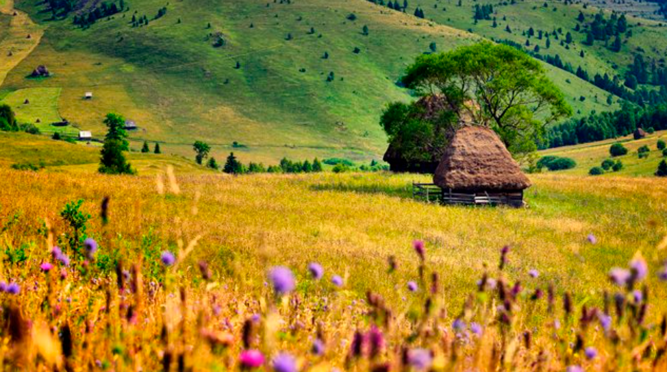 Невероятной красоты места в Украине: куда поехать в отпуск летом 2020