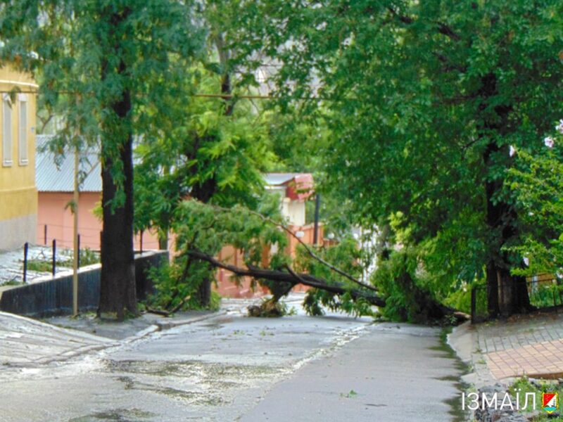 Около сотни поваленных деревьев и столько же повреждений линий электропередач - Измаил отходит после удара стихии