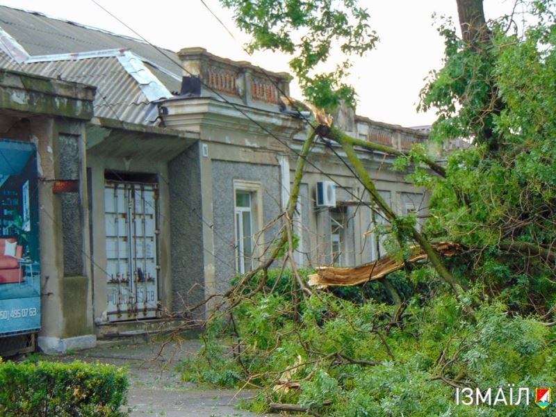 Около сотни поваленных деревьев и столько же поврежденных линий электропередач - Измаил отходит после удара стихии.