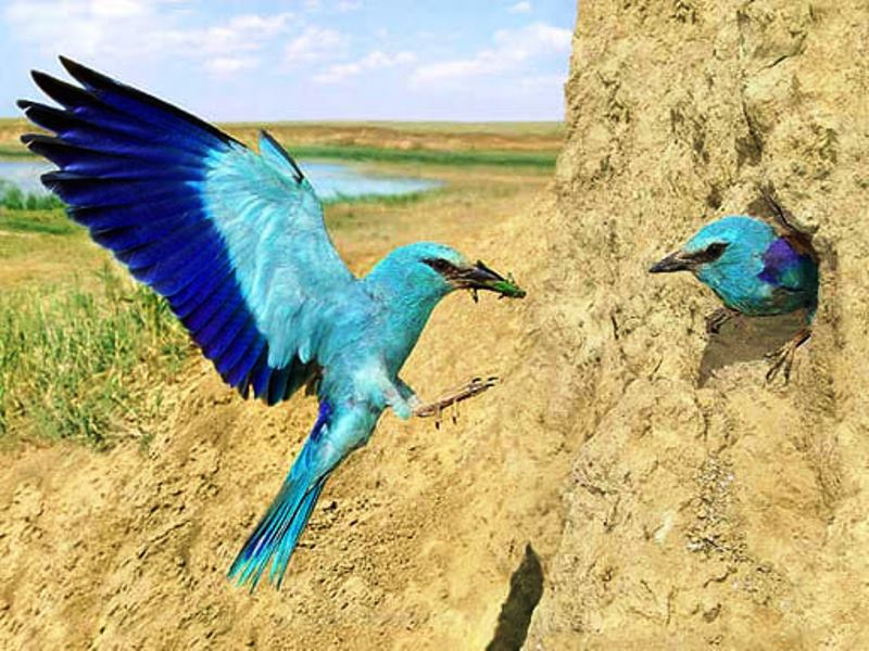 Любителям путешествий предлагают уникальный туристический маршрут по Бессарабии: на пирамиды в поисках синей птицы