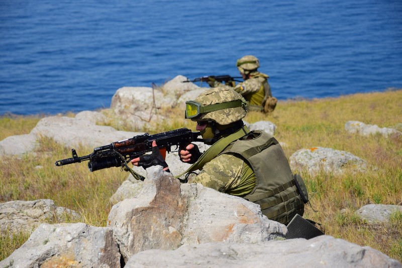Пограничники Измаильского отряда совместно с ВМС приняли участие в учениях на острове Змеиный