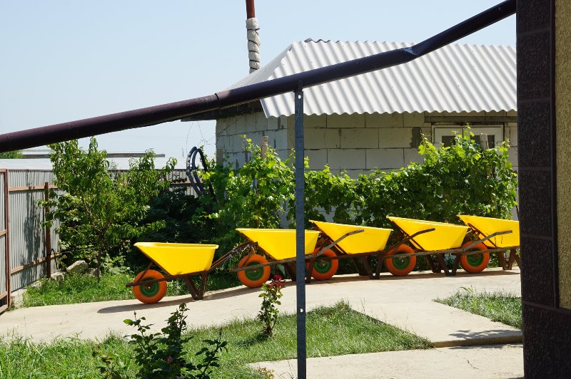 Уникальное фермерство Бессарабии: в Ренийском районе выращивает овощ необычной формы