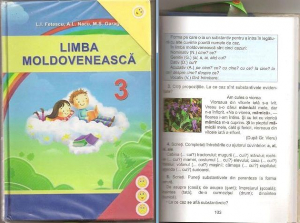 Сохранить язык: сразу несколько школ Бессарабии отказываются от навязанного "молдавского" языка обучения и решили перейти на румынский